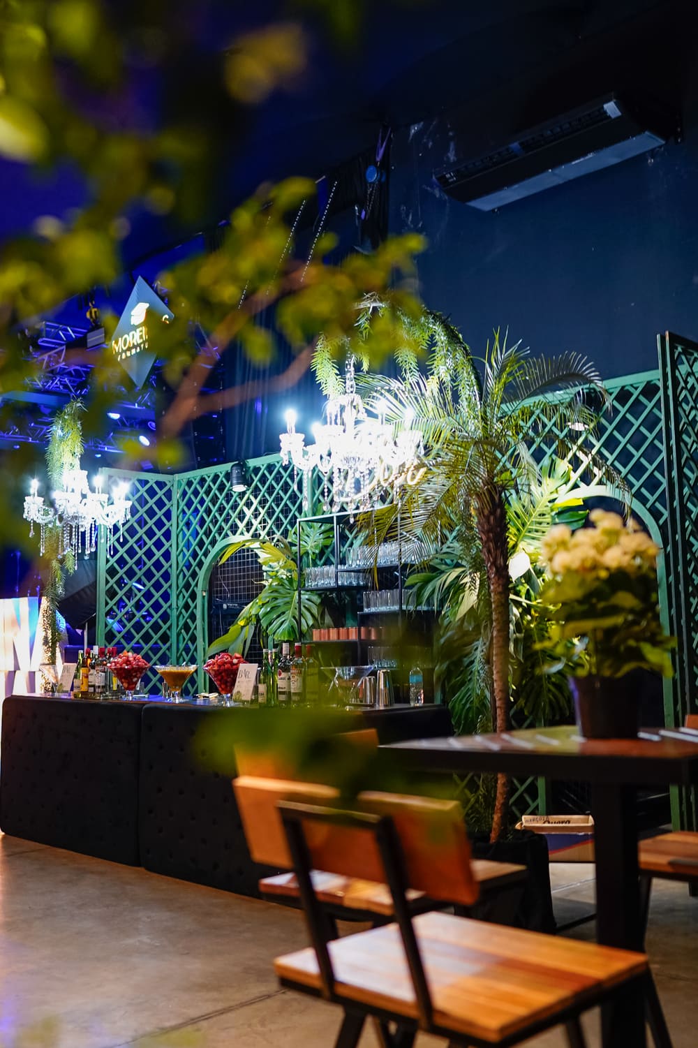 Bar temático decorado com plantas, treliça e iluminação ambiente